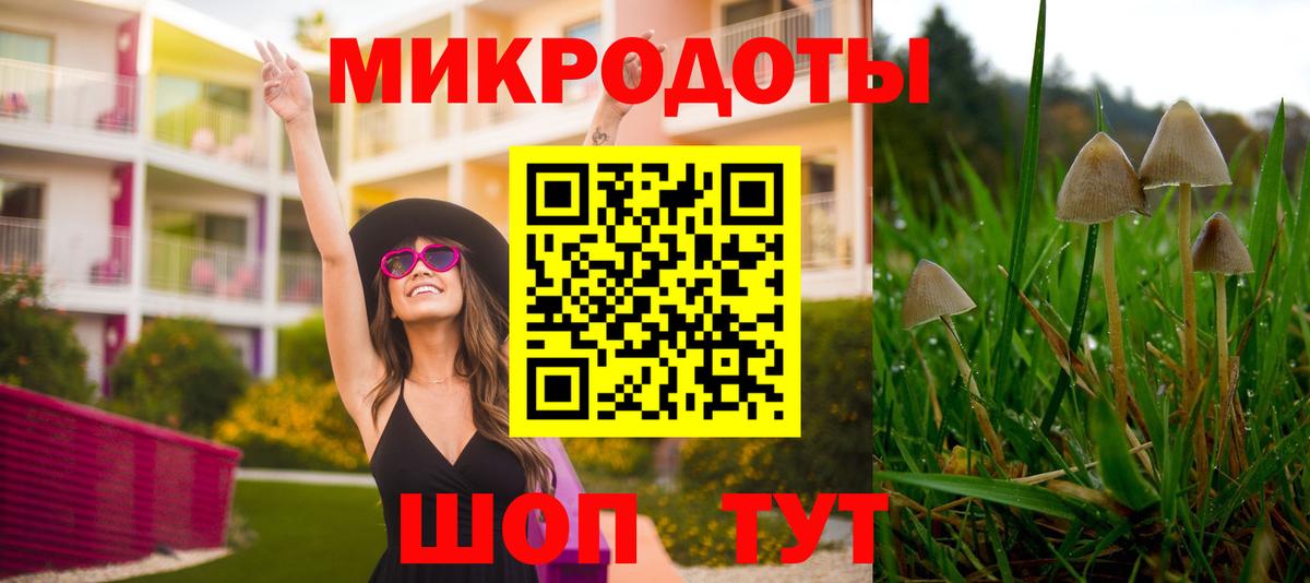 хочу   Псилоцибиновые грибы мицелий  Вход с VPN  Гай 